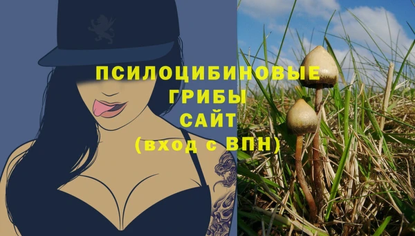 прущий лед Михайловск