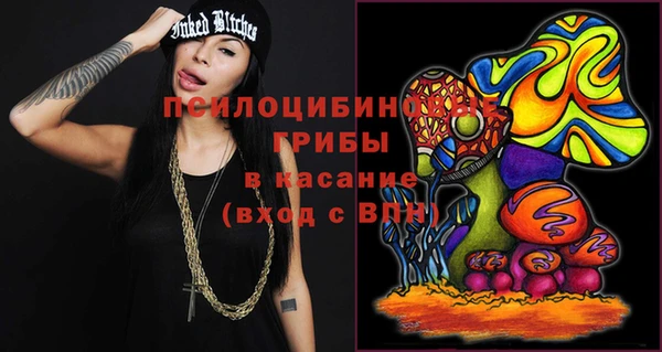 винт Алексин