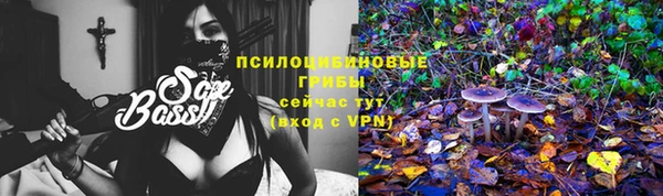 винт Алексин